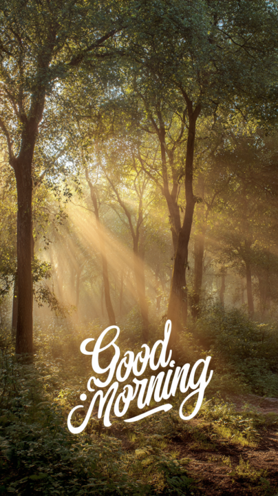 Good Morning Daily Check-In / 24th - October - 2025