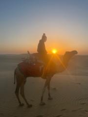 Louisa Lewis sanders