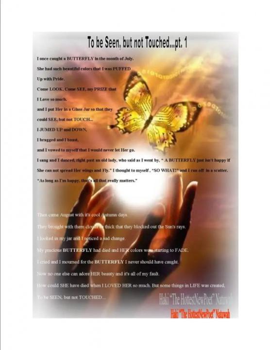 To be SEEN, but Not Touched...