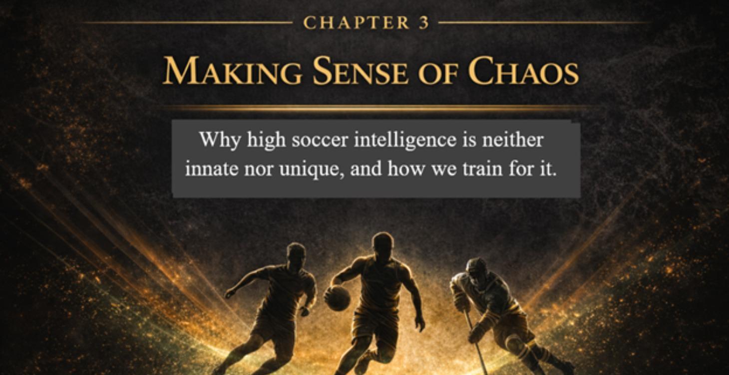 Chapter 3 Making Sense of Chaos