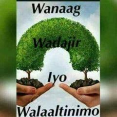 Abdifatah Haji