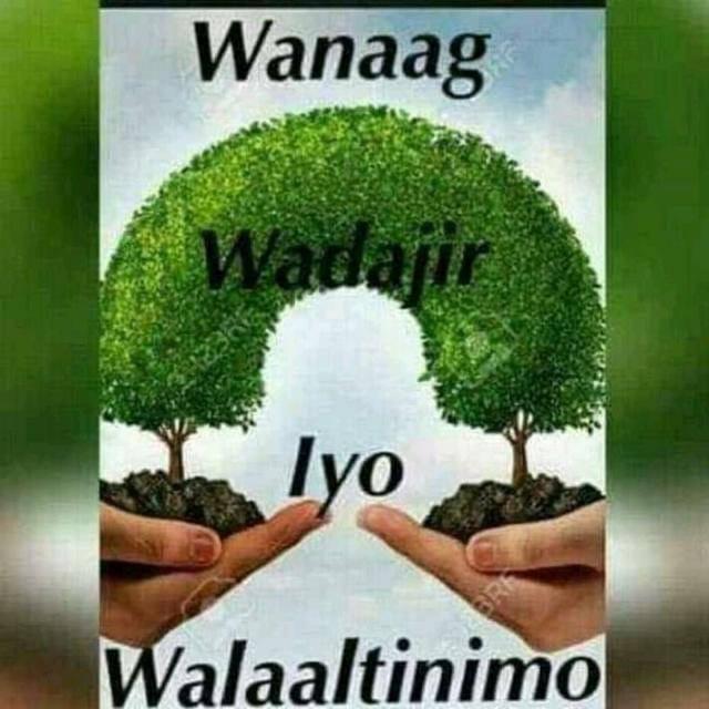 Abdifatah Haji