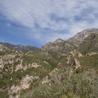 Francisco Javier González Martín