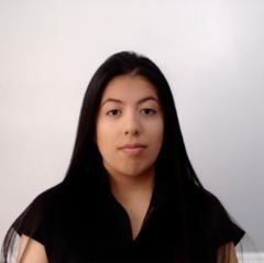 Suly Castillo