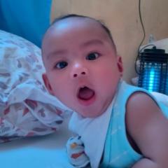 Peter paul ii Pajarillaga