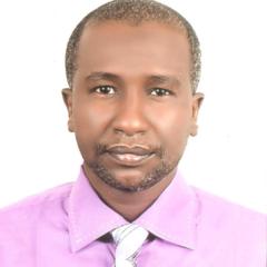 Mohamed Awad Elnel Doleeb
