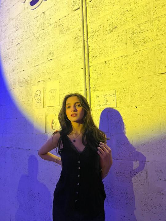 Amina Zaidi
