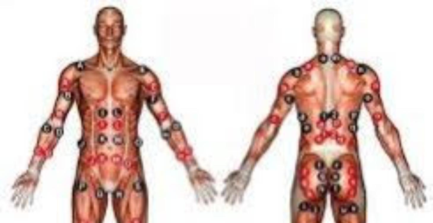 The Electrical Muscle Stimulation Showdown