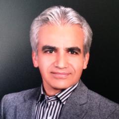 Mohammad Hosseinimahjoub