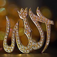 Maha Elgamal