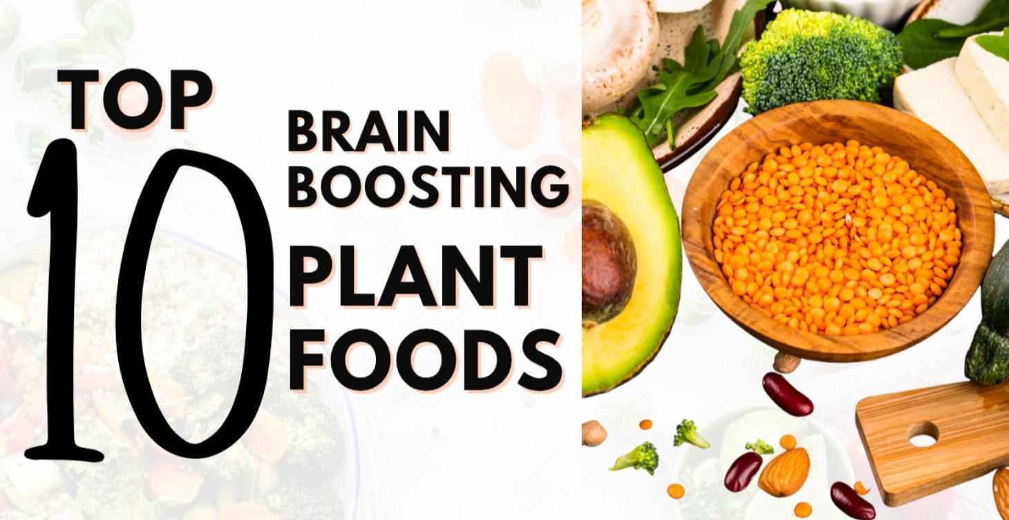 Free Guide: Top 10 Brain Foods