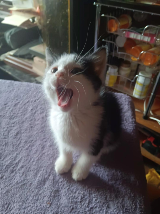 New addition to the family!
