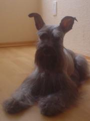 Maru Aguilera Germán