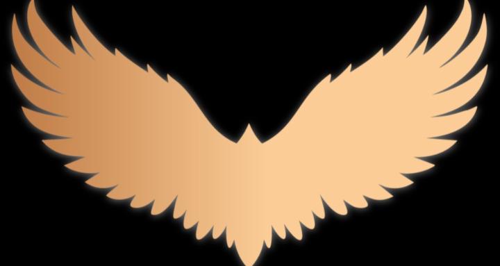 The Somatic Mechanics Rituals 