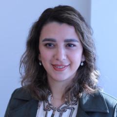 Sepi Lashgari