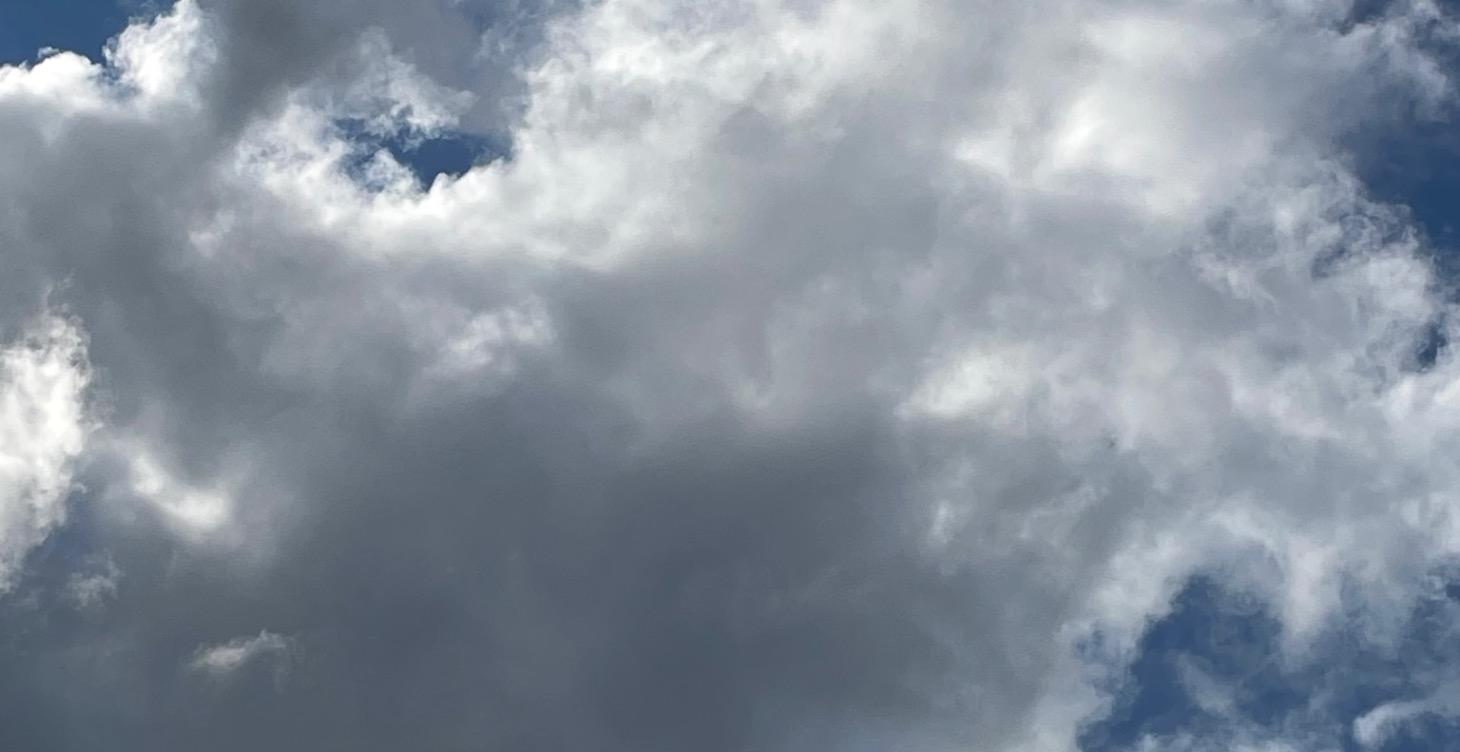 Share a little about yourself