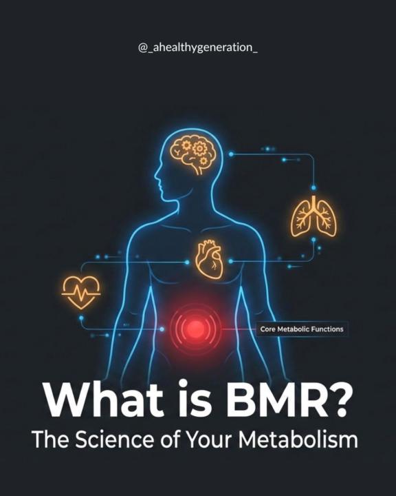 Why Your Metabolism Holds the Key to Smarter Wellness