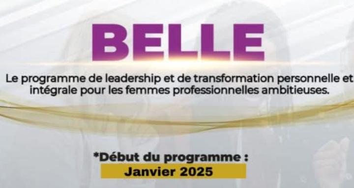 Le programme BELLE