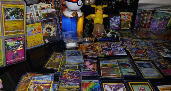 PKMN TRADING CARDS TRAINING