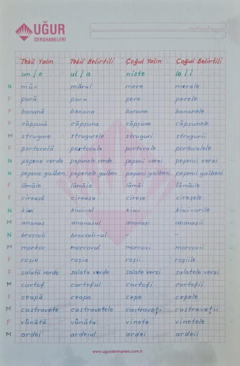 Kelimeler; eril/dişil, belirtili/belirtisiz, tekil/çoğul