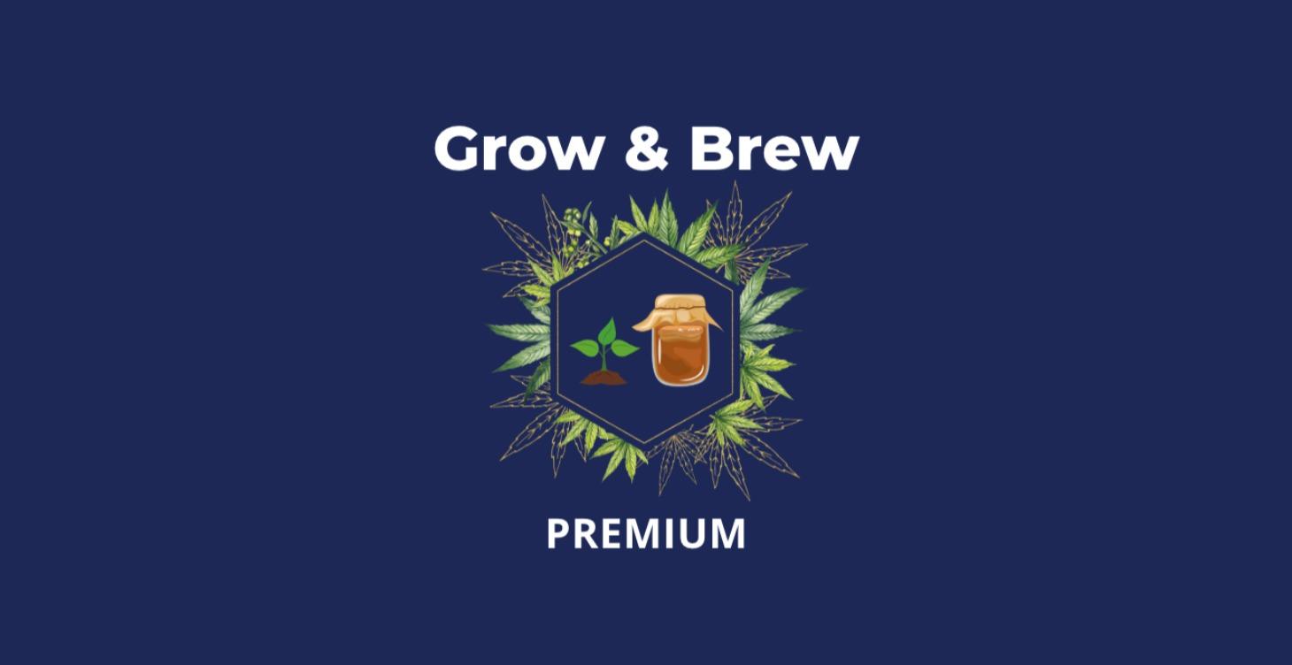 PHASE 3 Grow & Brew