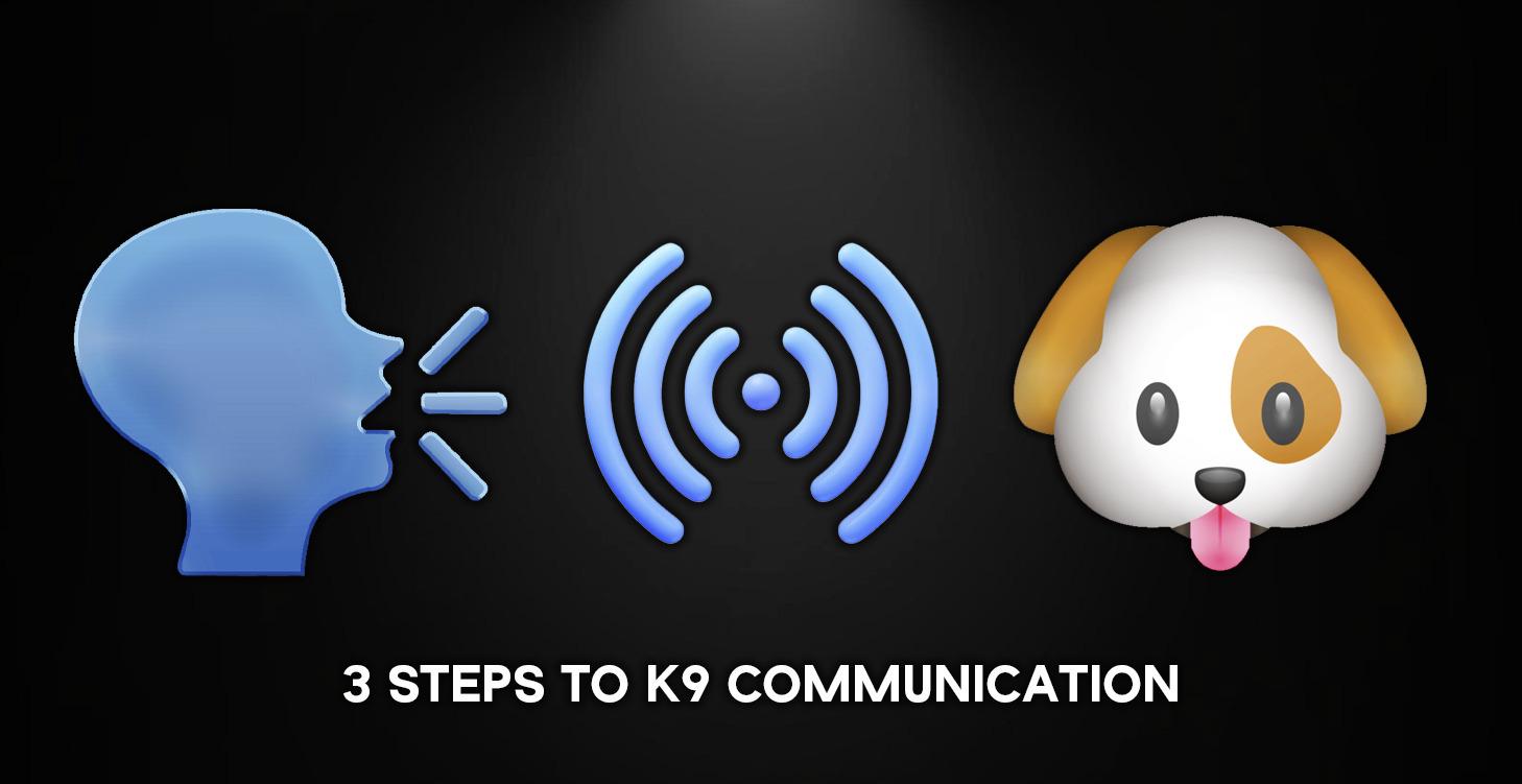 3 Steps To K9 Communication