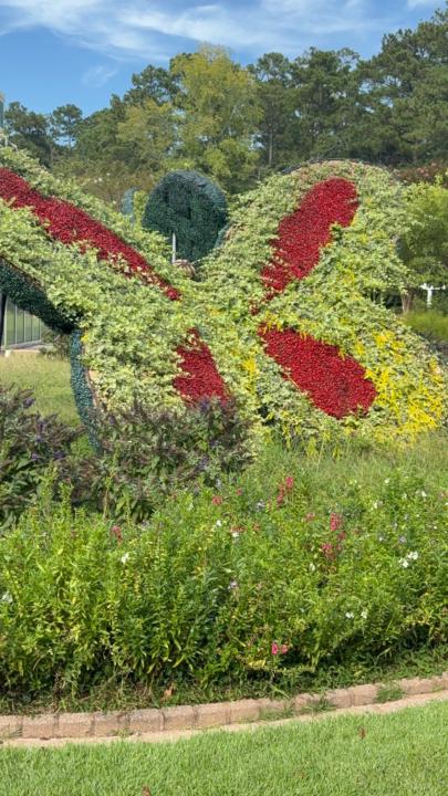 Evangelina Francisco