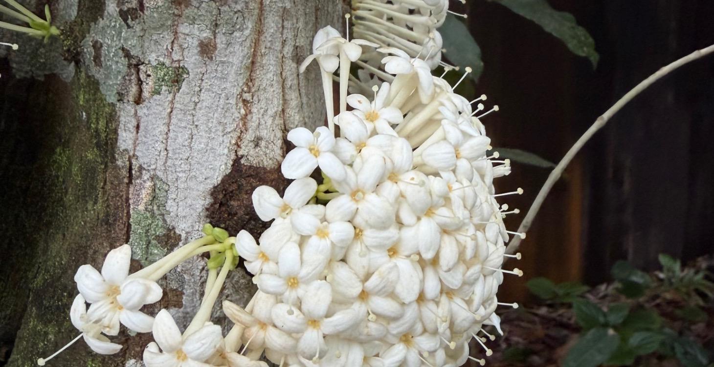 Philosophy re-constructed.