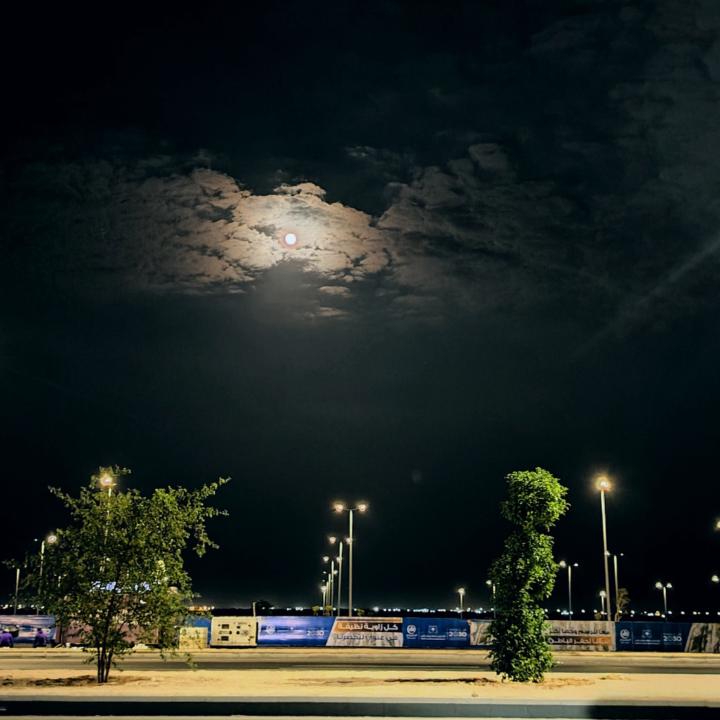 فواز رشيد
