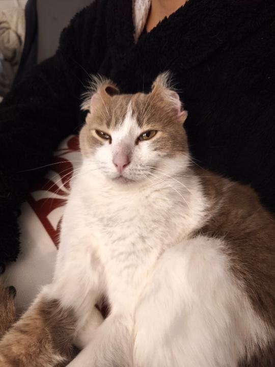 José Miguel Garrido