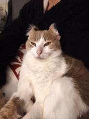 José Miguel Garrido