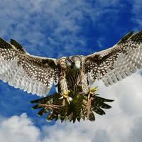 Batjargal Maygmarjav