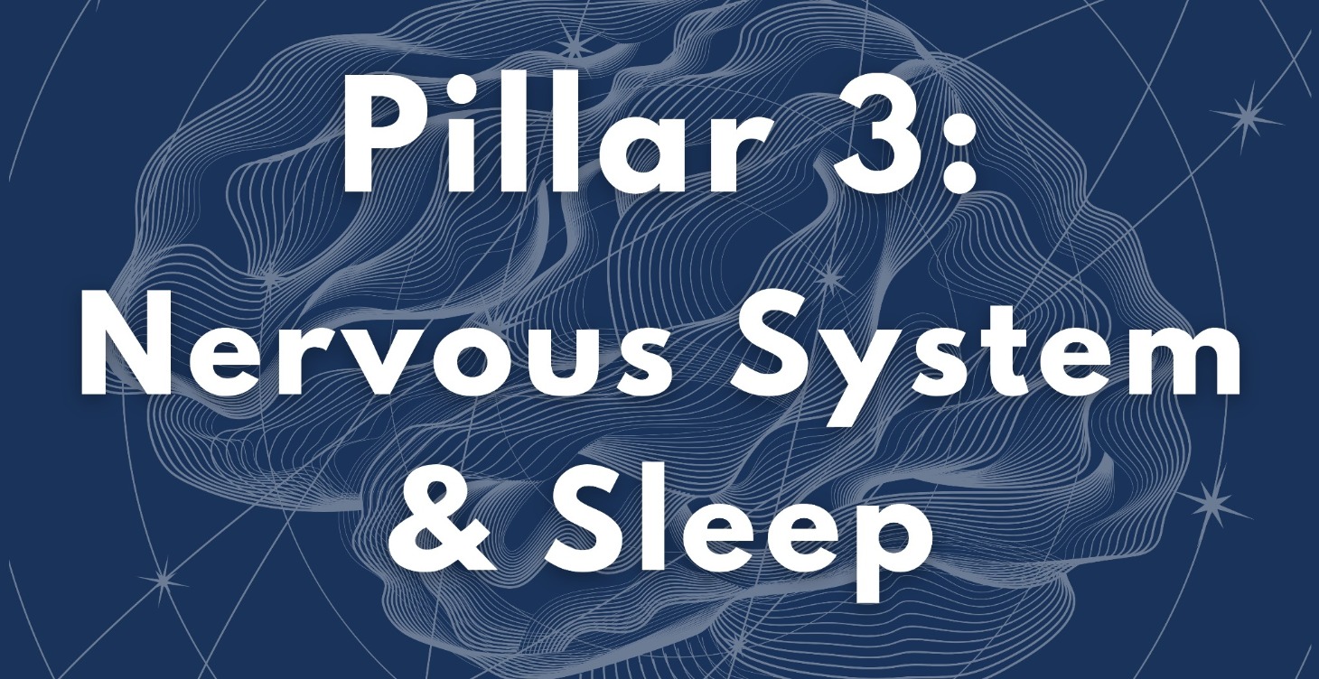 Pillar 3: Nervous System & Sleep