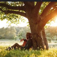 Abderrazzak Elmeziane