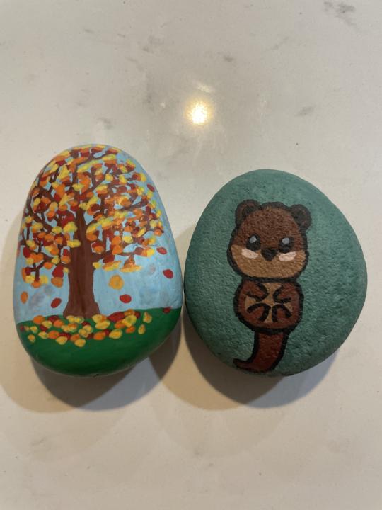 Rocks that I’ve painted from yesterday 