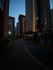 N Minjin