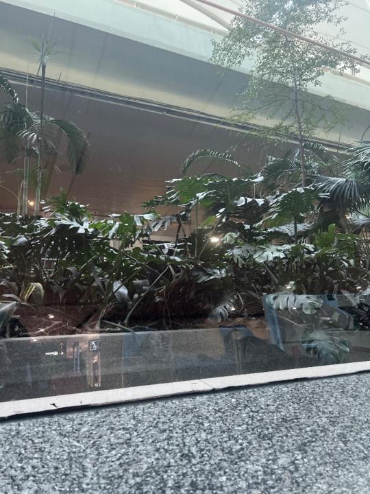 Batsuren Bayarchimeg