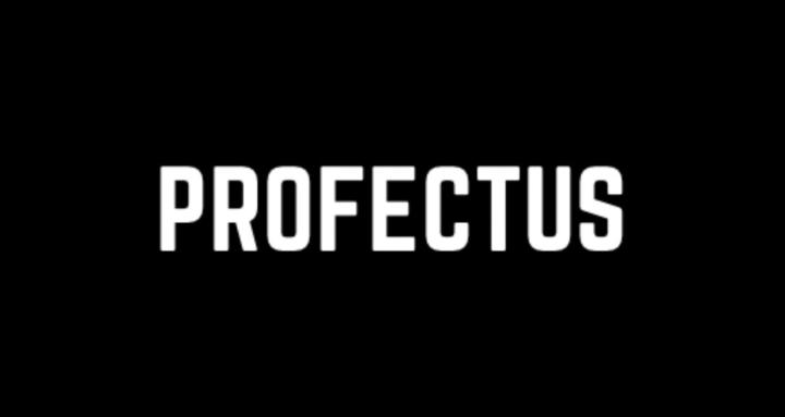 PROFECTUS 