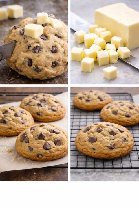 🍪 Cookie Science 1.4