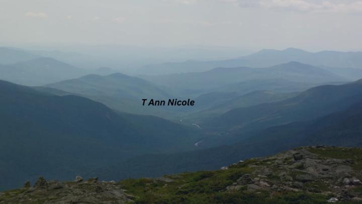 T Ann Nicole