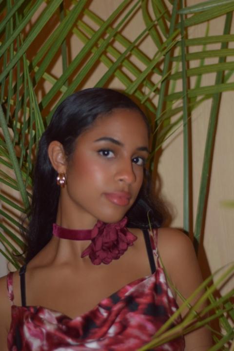 Haminah Lee
