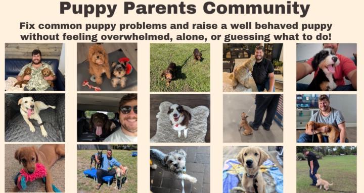 Puppy Parents Community