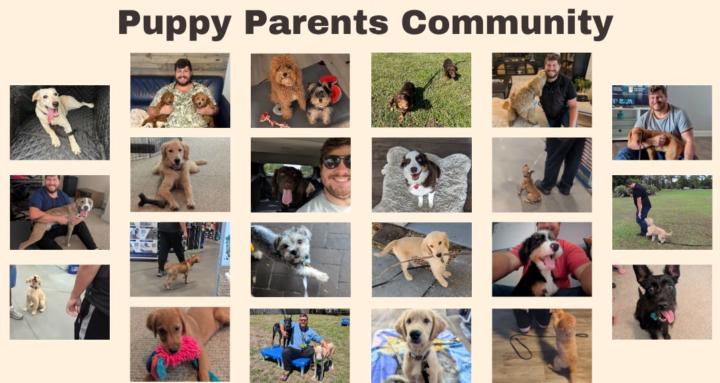 Puppy Parents Community