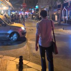 Cakanovski The wanderer