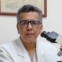 Fernando Gomez-Daza