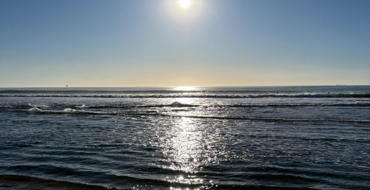 ✨ Her New Direction: Resources Hub