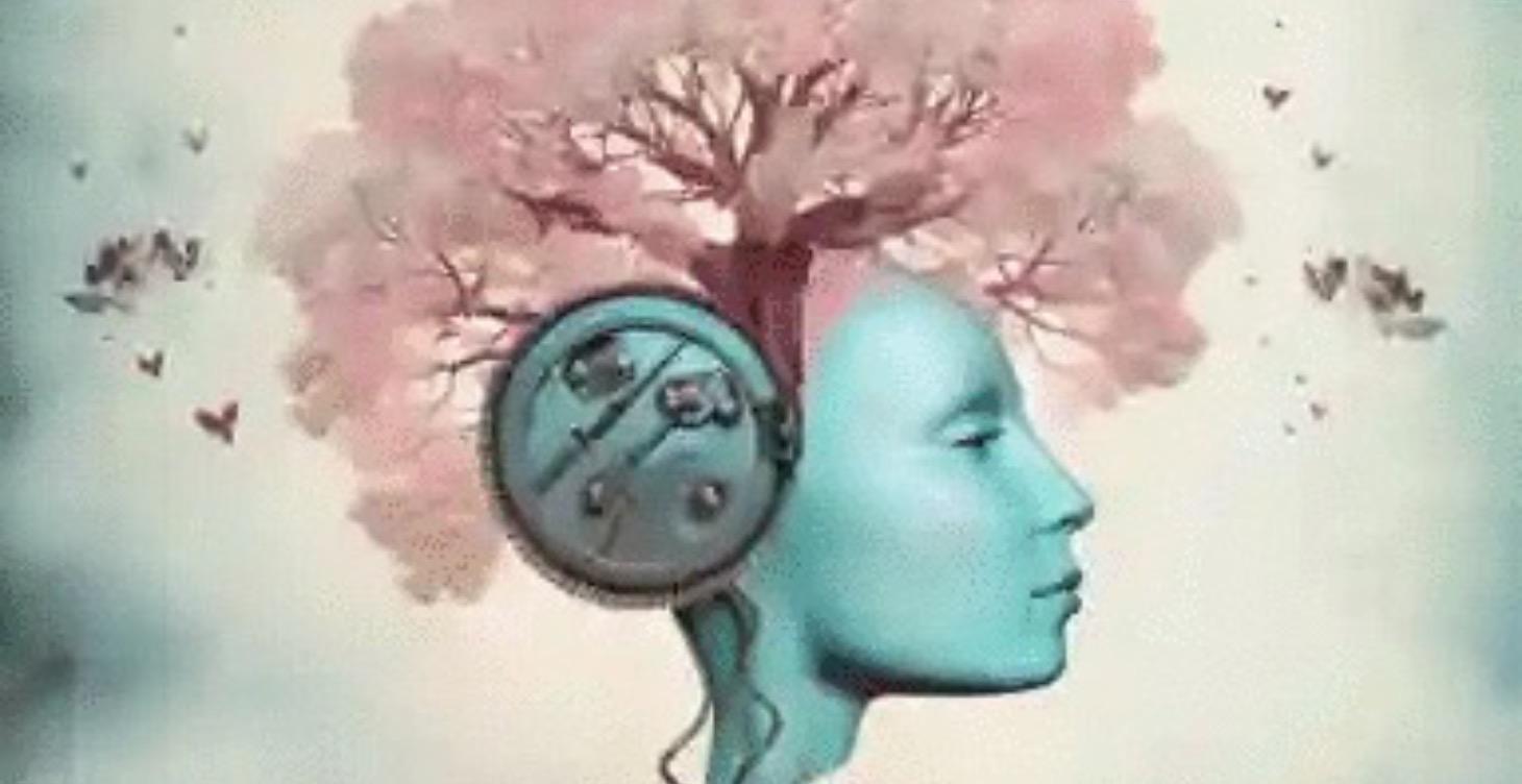 Live Replays - Tools for everyday life