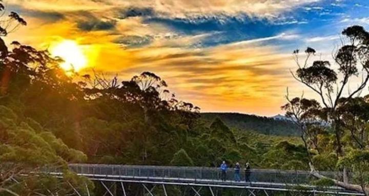 IndigTechUp Institute