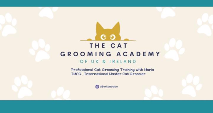 The Cat Grooming Academy