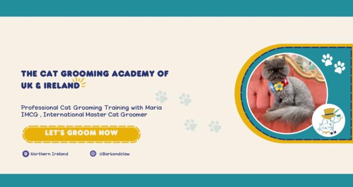 The Cat Grooming Academy
